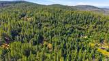40 White Fir - Photo 49
