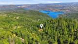40 White Fir - Photo 51