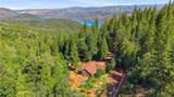 40 White Fir - Photo 53