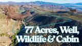 28618 Chihuahua Valley Road - Photo 1