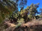 28618 Chihuahua Valley Road - Photo 9