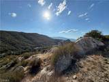 28618 Chihuahua Valley Road - Photo 14