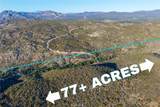 28618 Chihuahua Valley Road - Photo 6