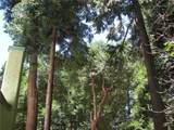 1101 Big Tree - Photo 19