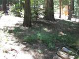 1101 Big Tree - Photo 2