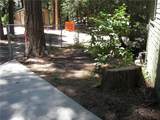 1101 Big Tree - Photo 4