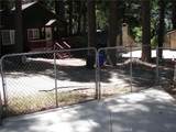 1101 Big Tree - Photo 5