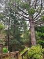 1909 Claire Dr - Photo 28