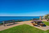 33442 Abalone Drive - Photo 42