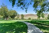 19605 Shadow Springs - Photo 29