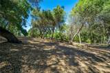 1731 San Fernando Road - Photo 63