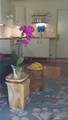 3543 Poppy - Photo 8