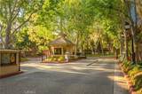 2595 Plaza Del Amo - Photo 19