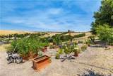 2045 Vista De La Vina - Photo 65
