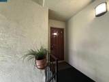 2564 Walnut Blvd - Photo 2