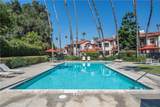 446 Bougainvillea Lane - Photo 43