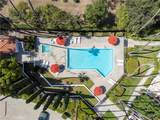 446 Bougainvillea Lane - Photo 45