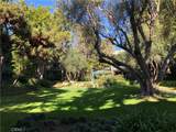 552 Bellflower Boulevard - Photo 23