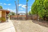 41177 Terra - Photo 35