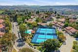 6930 Camino Pacheco - Photo 19