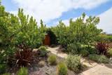 645 N. Rios - Photo 15