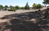 7950 Blue Moon Road - Photo 15