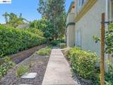 4071 Ghiotti Dr - Photo 3