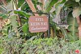 1375 Kelton Avenue - Photo 29