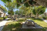 16 Via Solaz - Photo 22