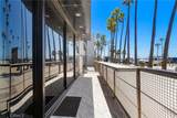 3009 Ocean Front Walk - Photo 41