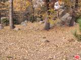 32240 Whisper Drive - Photo 8