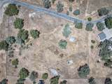 32115 Turkey Track - Photo 53