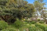 17202 Corbina - Photo 14