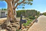 31944 Pacific Coast Highway - Photo 57