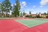 9854 Solazzo - Photo 17