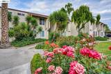 975 Murrieta Blve - Photo 19