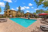 10603 Dabney - Photo 22
