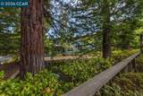 1901 Lakeshire Dr - Photo 36