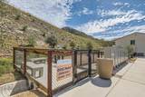 35107 Rangpur Lane - Photo 12