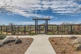 35107 Rangpur Lane - Photo 15