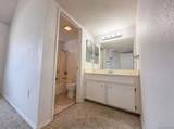 8745 Spring Canyon - Photo 6