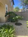 38209 Talavera Court - Photo 5