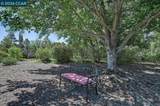 1916 Golden Rain Rd - Photo 2