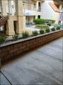 19149 Palo Verde - Photo 18