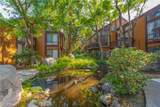 14001 Bayside Drive - Photo 17