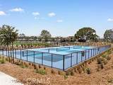 426 Lobata - Photo 29