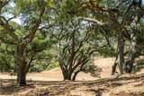 12709 Paso Verde Court - Photo 46