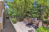 1315 Alma Ave - Photo 55