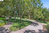 1315 Alma Ave - Photo 58