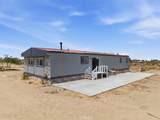13475 Ailanthus - Photo 2